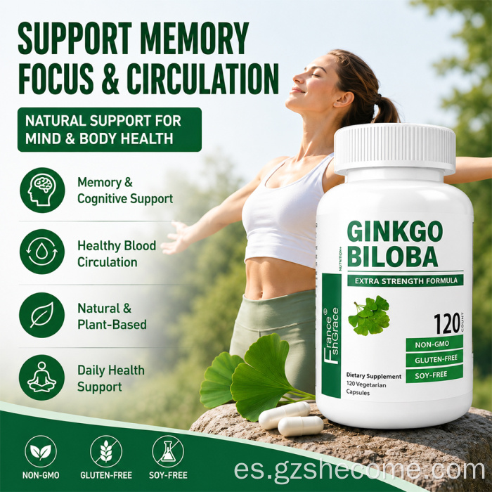 Ginkgo Biloba Apoyo al Cerebro Cápsulas de Ginkgo Biloba